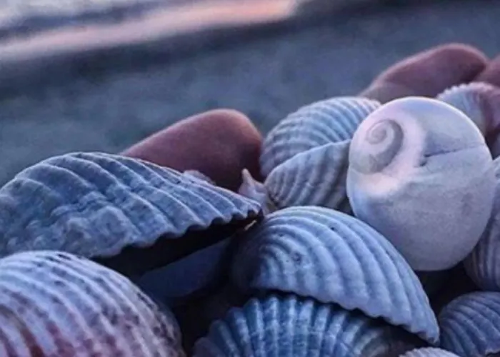 Sabbia Bianca Affittacamere
